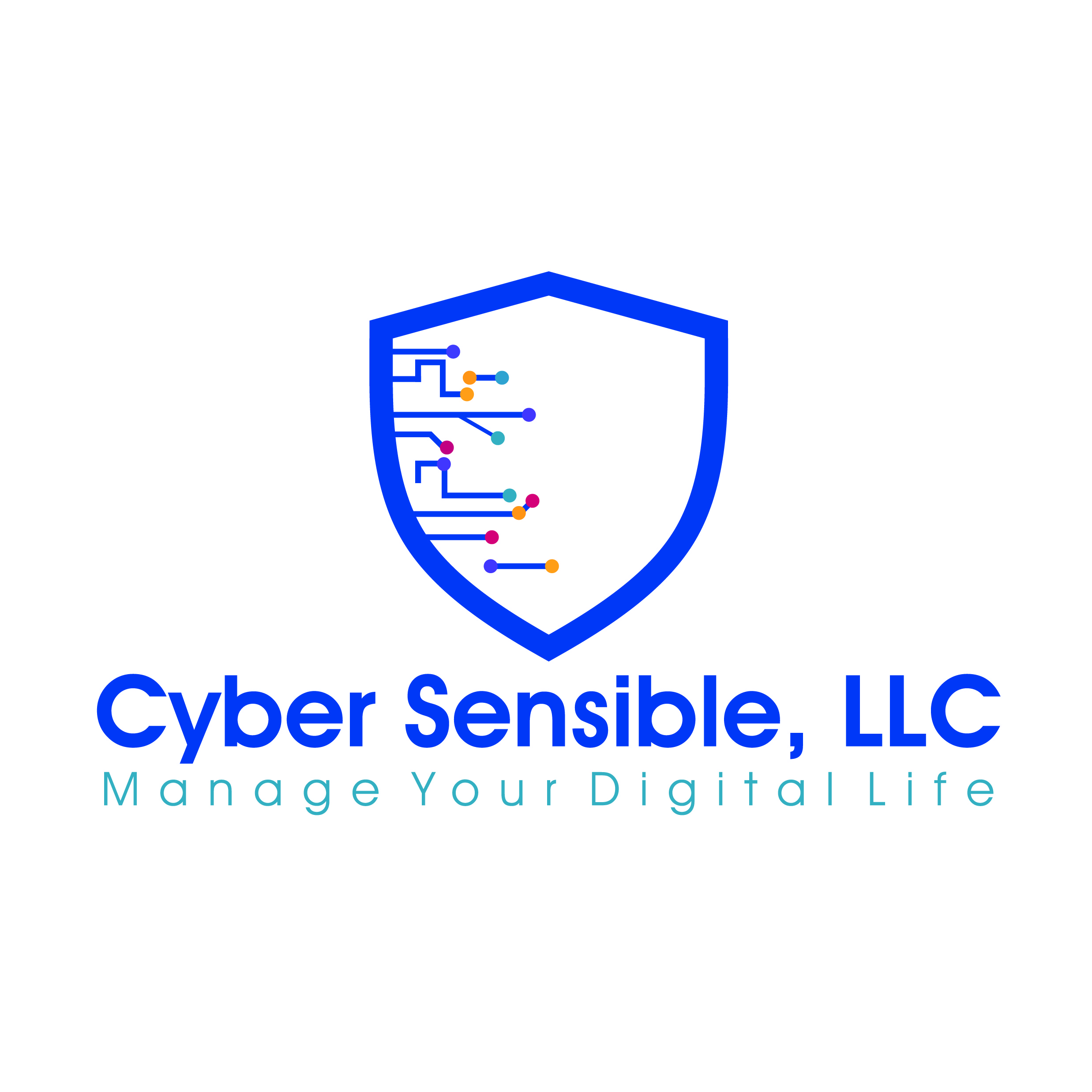 Cyber_Sensible_Logo.jpg